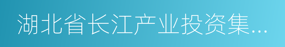 湖北省长江产业投资集团有限公司的同义词