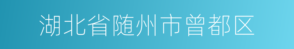 湖北省随州市曾都区的同义词
