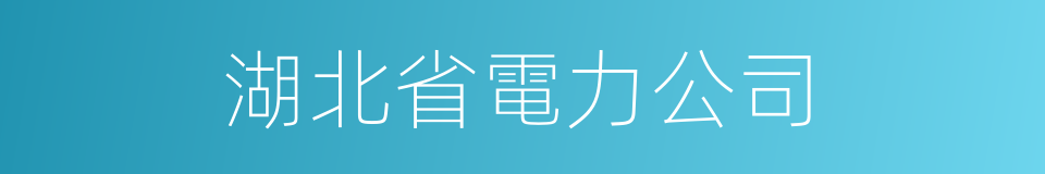 湖北省電力公司的同義詞