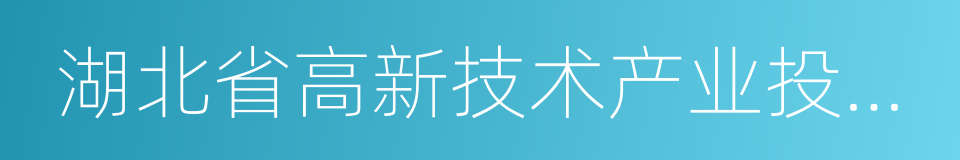 湖北省高新技术产业投资有限公司的同义词