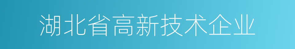 湖北省高新技术企业的同义词