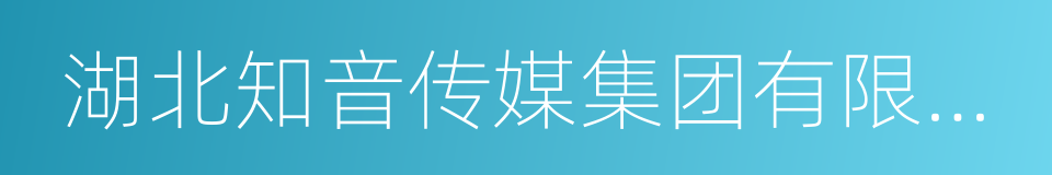 湖北知音传媒集团有限公司的同义词