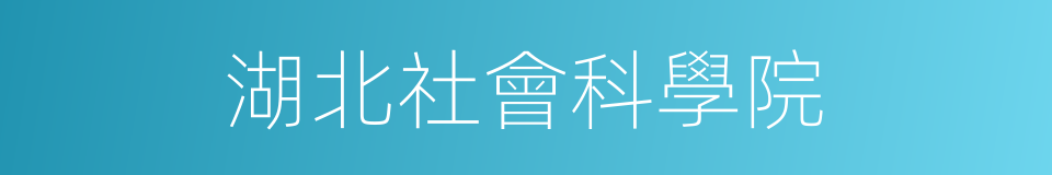 湖北社會科學院的同義詞