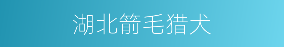 湖北箭毛猎犬的同义词