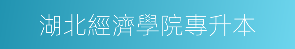 湖北經濟學院專升本的同義詞