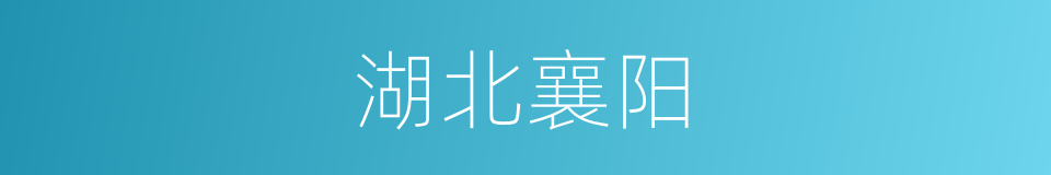 湖北襄阳的同义词