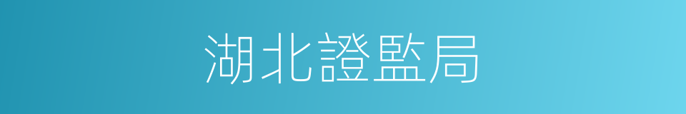 湖北證監局的同義詞