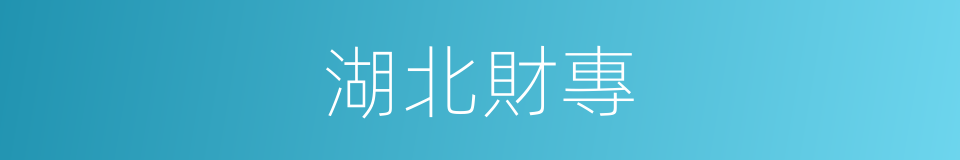 湖北財專的同義詞