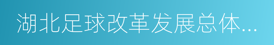 湖北足球改革发展总体方案的同义词