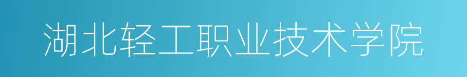 湖北轻工职业技术学院的同义词