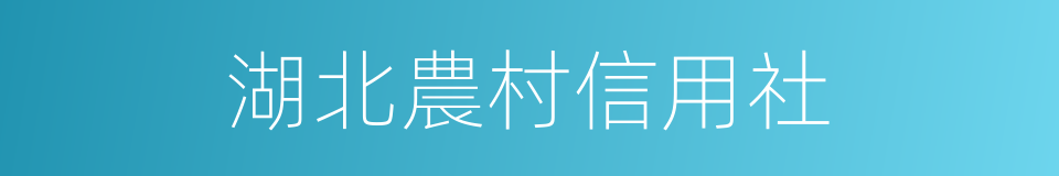 湖北農村信用社的同義詞