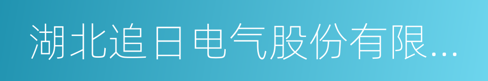 湖北追日电气股份有限公司的同义词