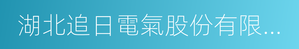 湖北追日電氣股份有限公司的同義詞