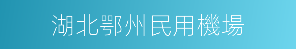 湖北鄂州民用機場的同義詞