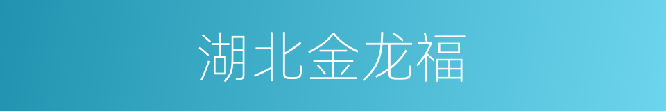 湖北金龙福的同义词