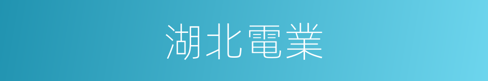 湖北電業的同義詞