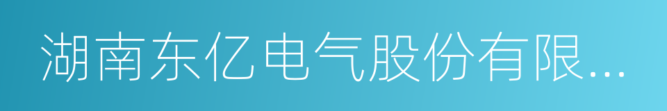 湖南东亿电气股份有限公司的同义词