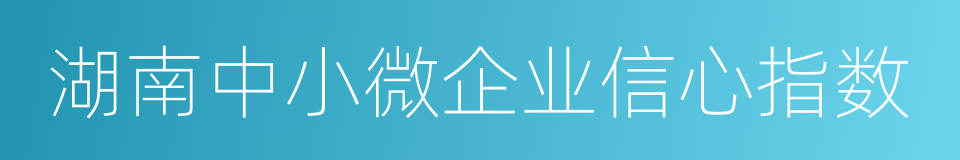 湖南中小微企业信心指数的同义词