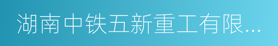 湖南中铁五新重工有限公司的同义词