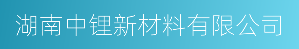 湖南中锂新材料有限公司的同义词