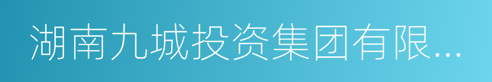 湖南九城投资集团有限公司的同义词