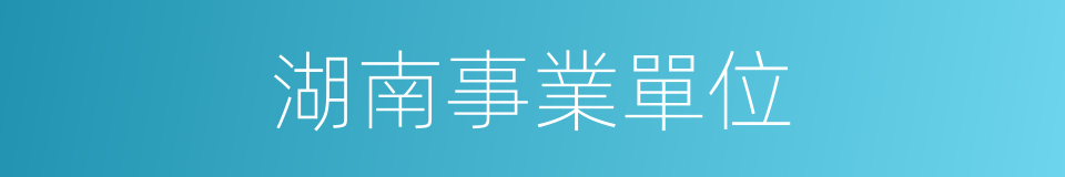 湖南事業單位的同義詞