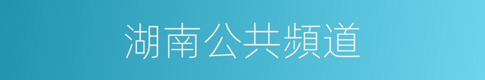 湖南公共頻道的同義詞