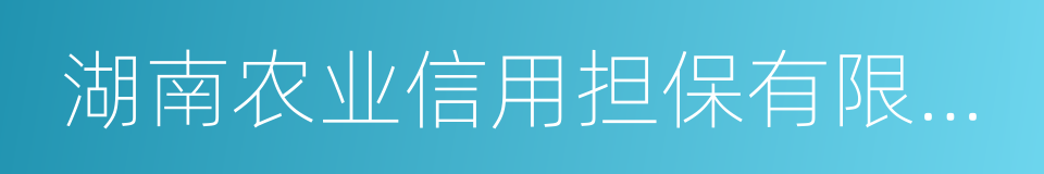 湖南农业信用担保有限公司的同义词