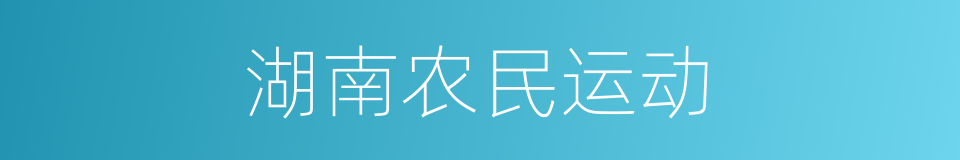 湖南农民运动的同义词