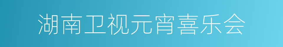 湖南卫视元宵喜乐会的同义词