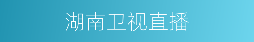 湖南卫视直播的同义词