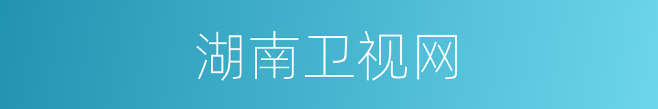 湖南卫视网的同义词