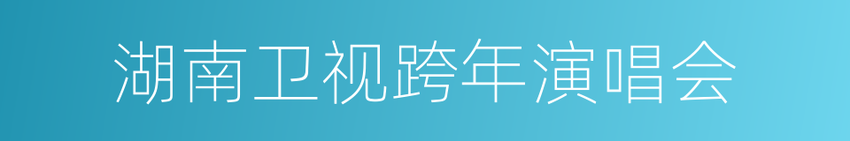 湖南卫视跨年演唱会的同义词