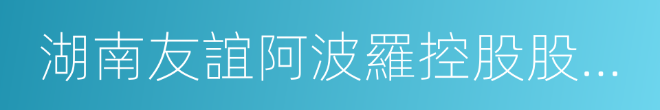 湖南友誼阿波羅控股股份有限公司的同義詞