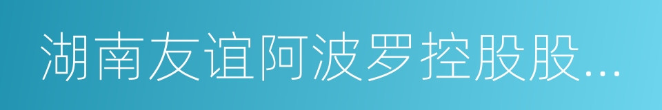 湖南友谊阿波罗控股股份有限公司的同义词