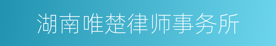 湖南唯楚律师事务所的同义词