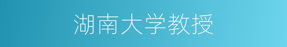 湖南大学教授的同义词