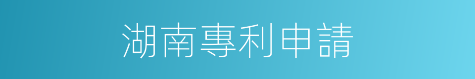 湖南專利申請的同義詞