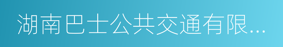 湖南巴士公共交通有限公司的同义词