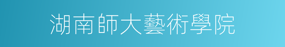 湖南師大藝術學院的同義詞