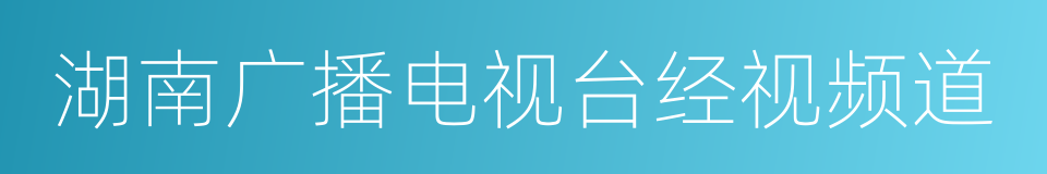 湖南广播电视台经视频道的同义词