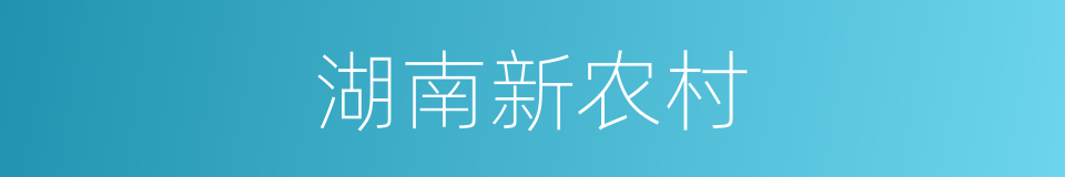 湖南新农村的同义词
