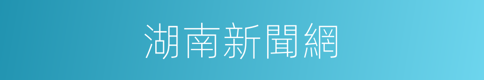 湖南新聞網的同義詞