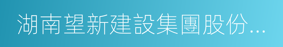 湖南望新建設集團股份有限公司的同義詞