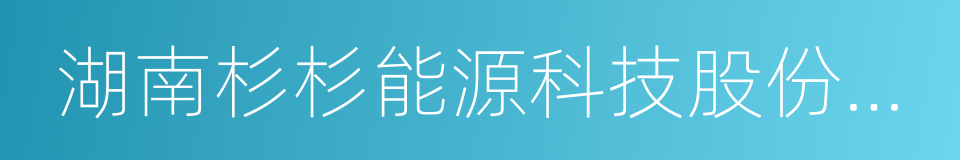 湖南杉杉能源科技股份有限公司的同义词