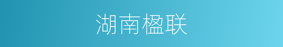 湖南楹联的同义词