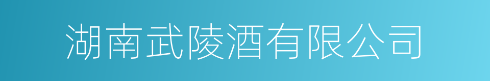 湖南武陵酒有限公司的同义词