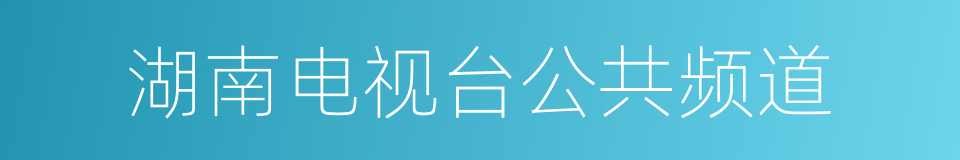 湖南电视台公共频道的同义词