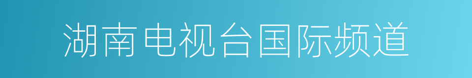 湖南电视台国际频道的同义词