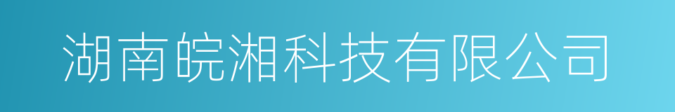 湖南皖湘科技有限公司的同义词